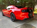 Thumbnail Photo 12 for 2013 Ford Mustang Shelby GT500 Coupe